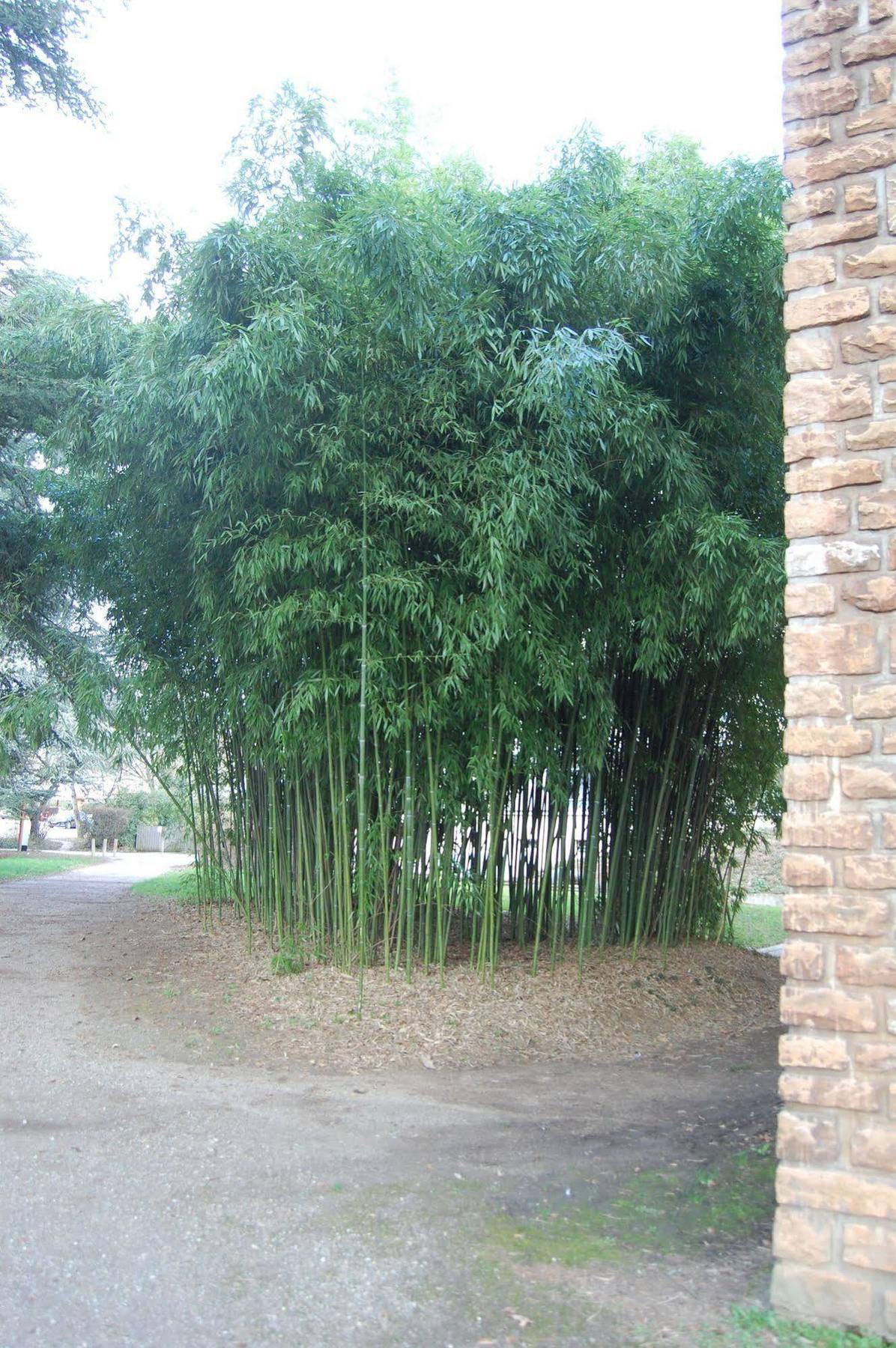 Valpré 3*